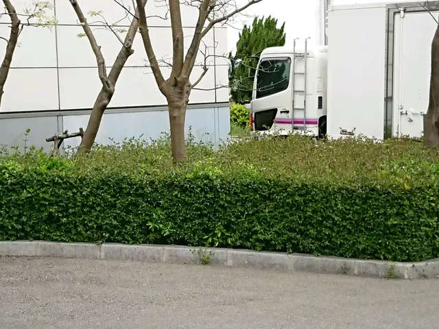 １級造園技能士職歴30年の実績、個人邸から企業の植栽管理迄ご相談下さい。    サービスの画像