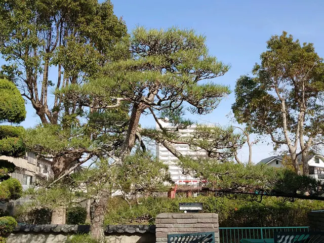 １級造園技能士職歴30年の実績、個人邸から企業の植栽管理迄ご相談下さい。    サービスの画像