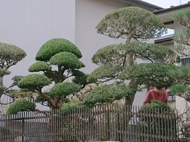 １級造園技能士職歴30年の実績、個人邸から企業の植栽管理迄ご相談下さい。    サービスの画像
