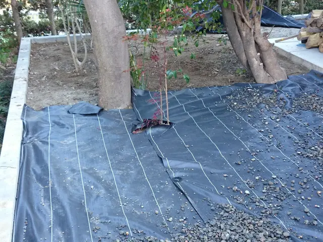 お得！！！　防草シート　シート押えピンを含んだ　コミコミ価格で手間いらず。サービスの画像