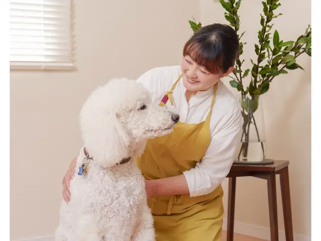 【老犬・老猫・保護ホーム運営】シニア・大型犬・多頭飼いOKサービスの画像