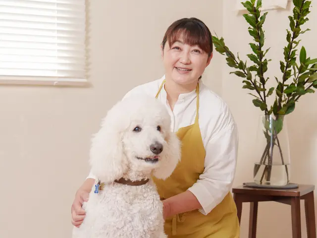 【老犬・老猫・保護ホーム運営】シニア・大型犬・多頭飼いOKサービスの画像