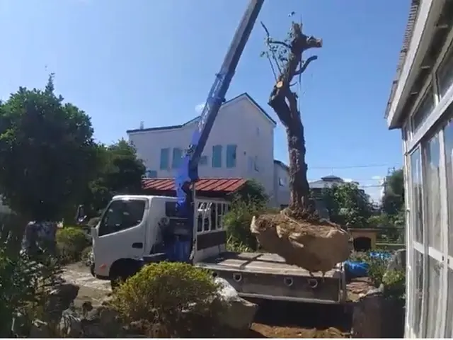 【口コミ賞受賞】 今後、単価が高くなる前に早めの処理をオススメします！！サービスの画像