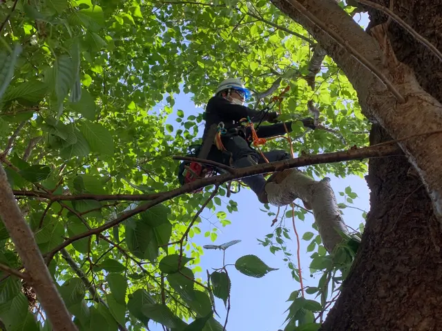 【口コミ賞受賞】 今後、単価が高くなる前に早めの処理をオススメします！！サービスの画像