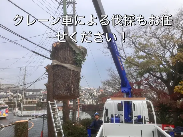 【口コミ賞受賞】 今後、単価が高くなる前に早めの処理をオススメします！！サービスの画像