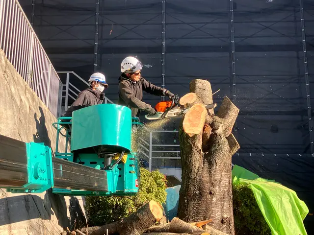 【口コミ賞受賞】 今後、単価が高くなる前に早めの処理をオススメします！！サービスの画像