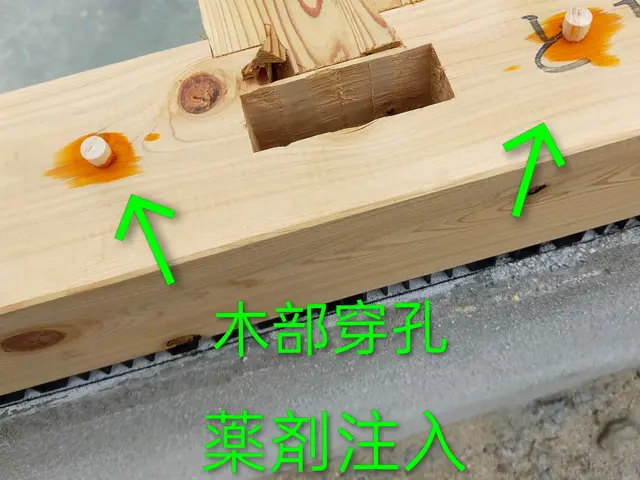 20年の実績◎玄関・お風呂タイル、外回りまで〜隅々まで丁寧な施工◎防除施工士保有サービスの画像