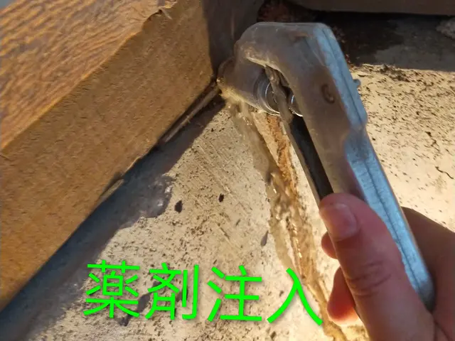 20年の実績◎玄関・お風呂タイル、外回りまで〜隅々まで丁寧な施工◎防除施工士保有サービスの画像