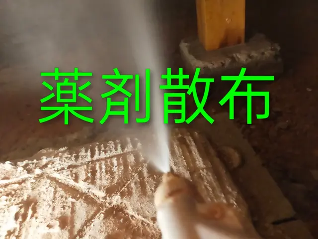 20年の実績◎玄関・お風呂タイル、外回りまで〜隅々まで丁寧な施工◎防除施工士保有サービスの画像