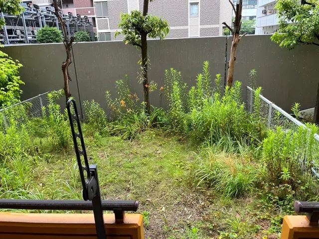 お庭スッキリさせませんか？？サービスの画像