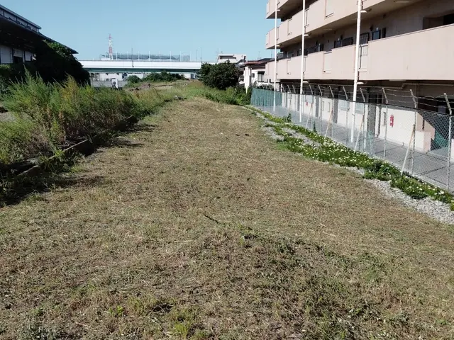 安全第一！迅速・丁寧な作業で、お庭の悩みを解決します！サービスの画像