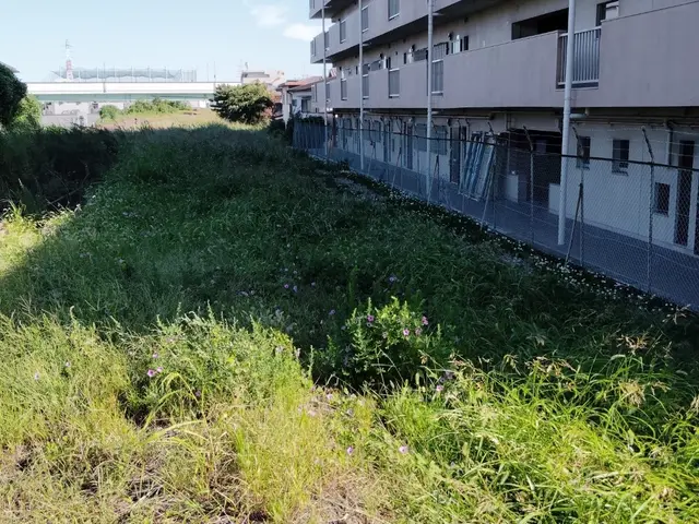 安全第一！迅速・丁寧な作業で、お庭の悩みを解決します！サービスの画像