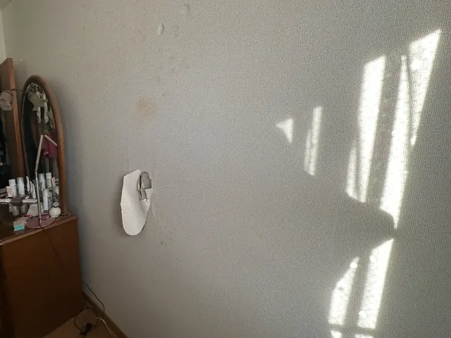 【火災保険OK】熟練のプロにお任せ下さい◎サービスの画像