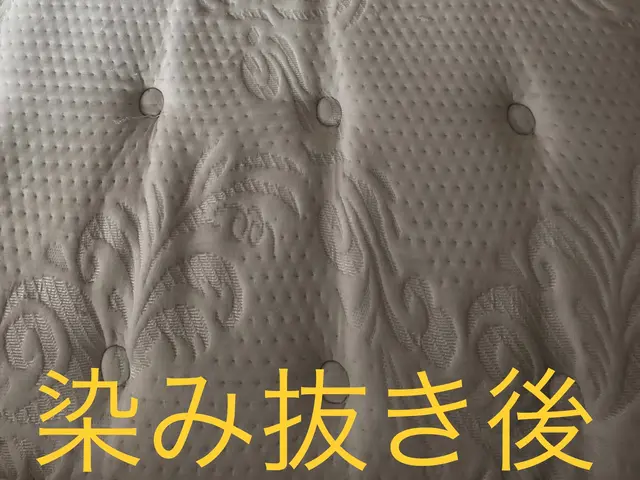 -イオンウォッシュ-　マットレス洗浄　染み抜き　脱臭　抗菌サービスの画像