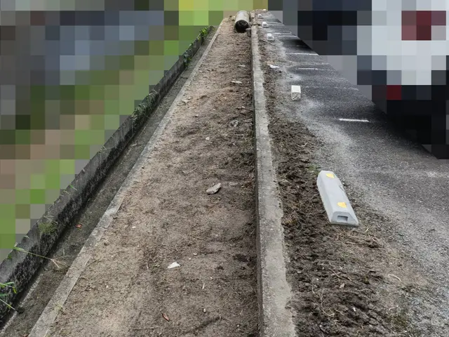 草むしり(手作業)をいたしますサービスの画像