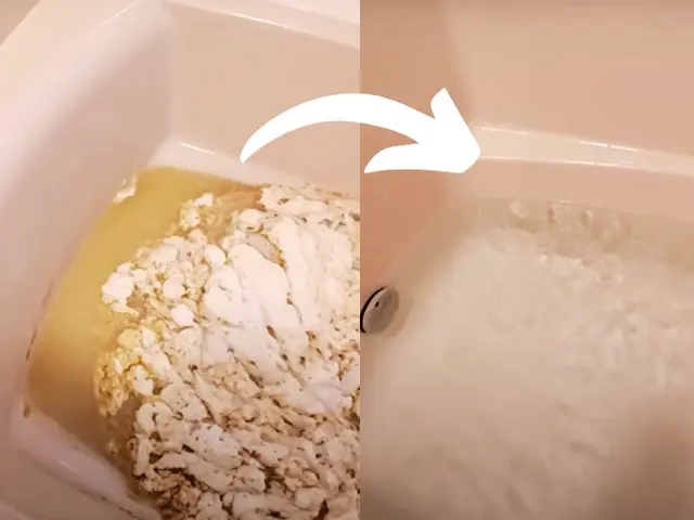 【そうじ屋くま】11年の実績＋損害保険完備。安心して任せられるプロの技。サービスの画像