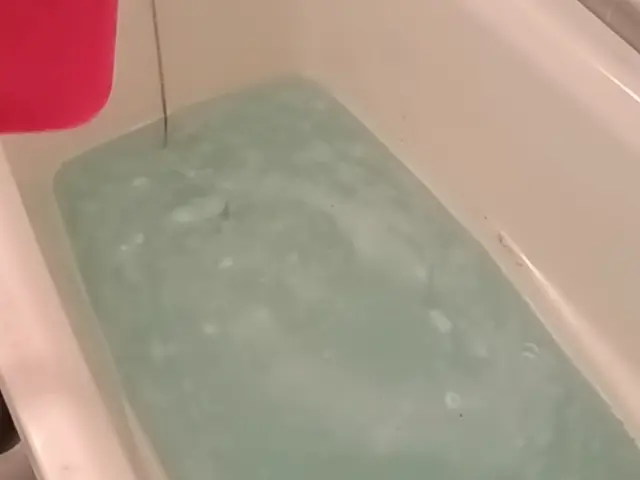 【そうじ屋くま】11年の実績＋損害保険完備。安心して任せられるプロの技。サービスの画像