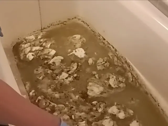 【そうじ屋くま】11年の実績＋損害保険完備。安心して任せられるプロの技。サービスの画像