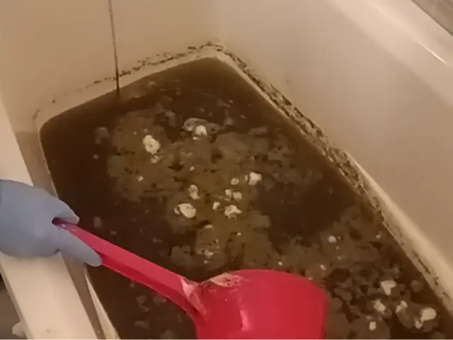 【そうじ屋くま】11年の実績＋損害保険完備。安心して任せられるプロの技。サービスの画像