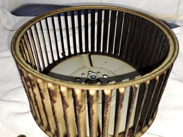 レンジフードクリーニング。年末に向けて油汚れをきれいにすっきり落とします。サービスの画像