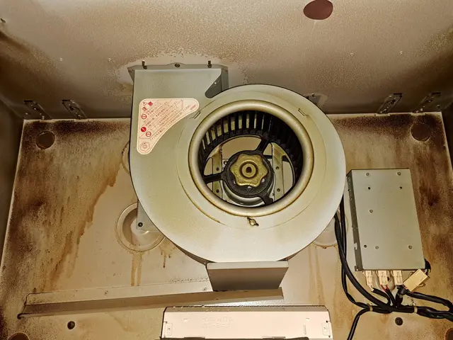 レンジフードクリーニング。年末に向けて油汚れをきれいにすっきり落とします。サービスの画像