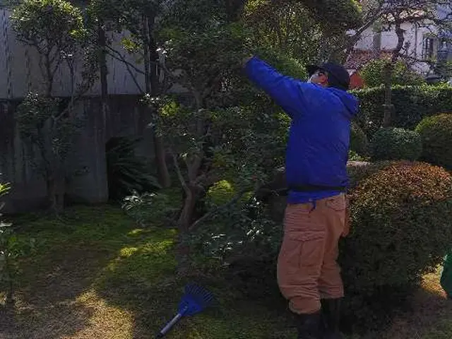 【お庭の管理全般】☆庭園管理士☆業歴19年☆迅速丁寧☆空家・空地も☆クレジット可サービスの画像