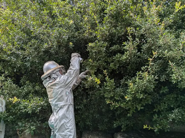 ◆予約から施工まで100%自社対応◆駐車代お店負担◆迅速丁寧に対応しますサービスの画像