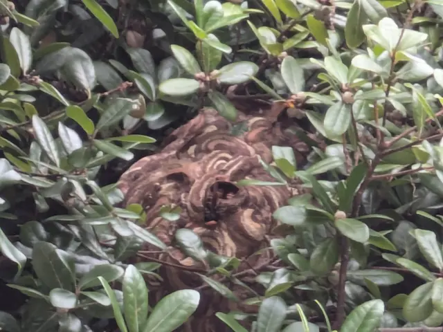 ◆予約から施工まで100%自社対応◆駐車代お店負担◆迅速丁寧に対応しますサービスの画像