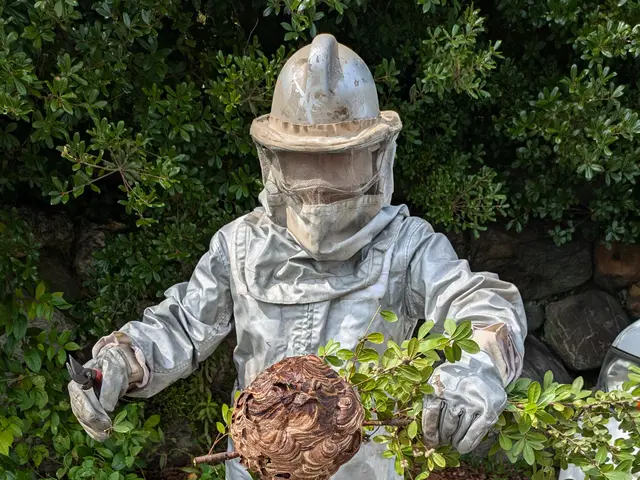 ◆予約から施工まで100%自社対応◆駐車代お店負担◆迅速丁寧に対応しますサービスの画像