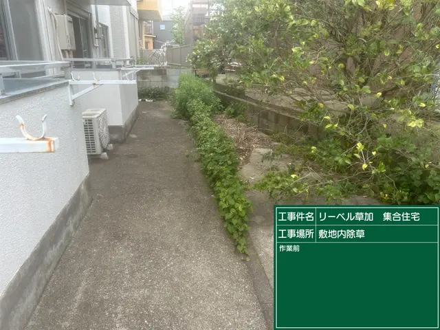 【緊急事態です】【草むしりの仕事を下さい！】お願いします！サービスの画像