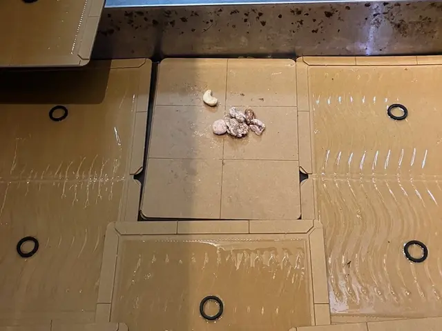 【ホテル運営もする安心法人】確かな駆除技術とホテル品質の接客！アフターフォロー◎サービスの画像