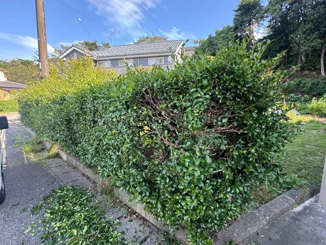 造園会社で6年以上経験◎機械式バリカンで早く、綺麗に仕上げます！サービスの画像