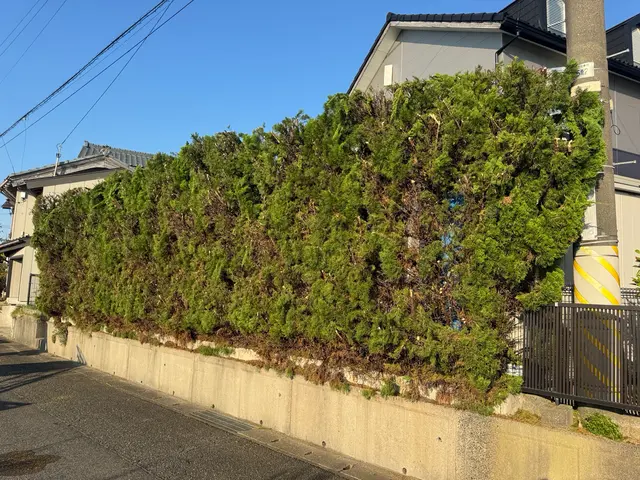 造園会社で6年以上経験◎機械式バリカンで早く、綺麗に仕上げます！サービスの画像