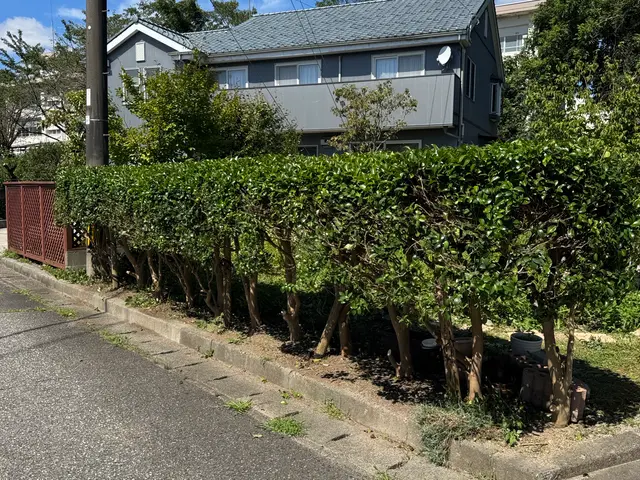 造園会社で6年以上経験◎機械式バリカンで早く、綺麗に仕上げます！サービスの画像