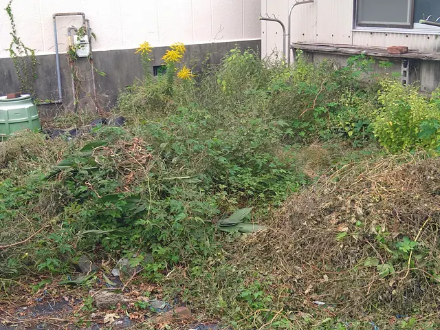 庭の魅力を最大限に引き出す専門家、仕上がり重視で丁寧に作業いたします！サービスの画像