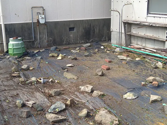 庭の魅力を最大限に引き出す専門家、仕上がり重視で丁寧に作業いたします！サービスの画像