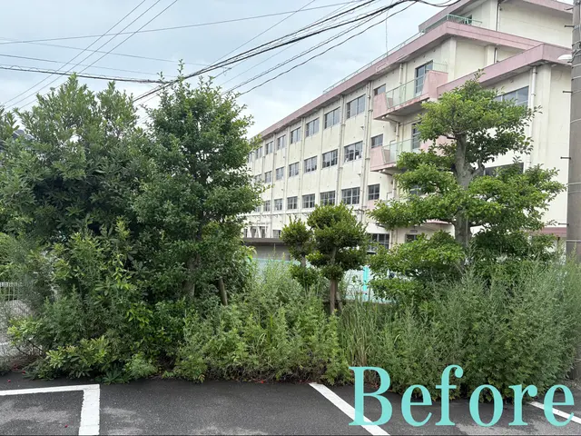 一級造園技能士の造園の専門家が丁寧に仕上げます◉サービスの画像