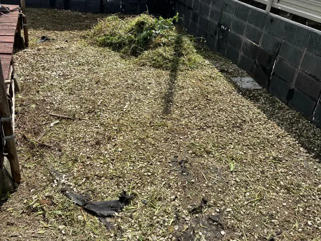 プロの技術でご満足いただけるように心を込めて作業いたしますサービスの画像