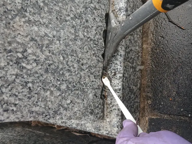 和7年8月　◎25年の実績と信頼のプロが真心込めて代行！遠方でも安心サポートサービスの画像