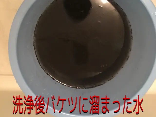 【消臭抗菌コート無料】google検索で上位に表示される高評価店舗です♪サービスの画像