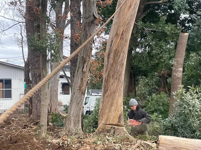 重機が入れない狭い場所でもお任せください！景観を整え、根ごと解決いたします。サービスの画像