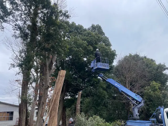 重機が入れない狭い場所でもお任せください！景観を整え、根ごと解決いたします。サービスの画像