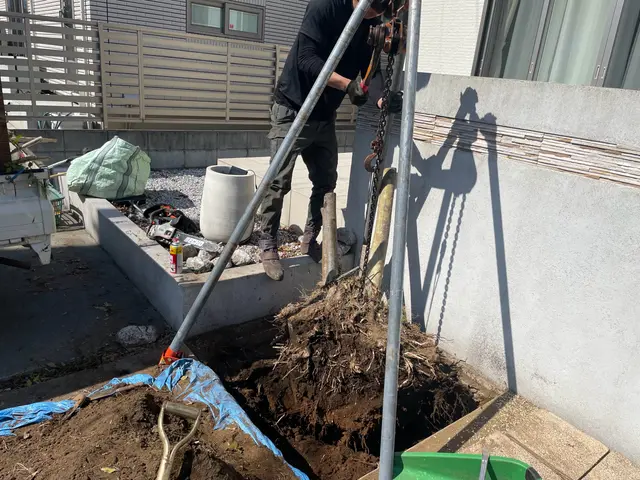 壊さず・安全に。周囲を守る伐採・抜根 | 1本から対応！サービスの画像