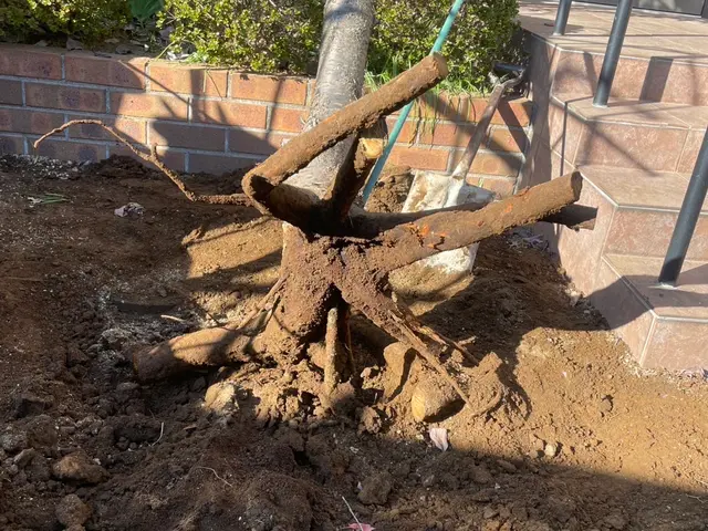 5年の実績と馬力が自慢！予算に合わせて丁寧に提案する安心の出張お手入れサービスサービスの画像