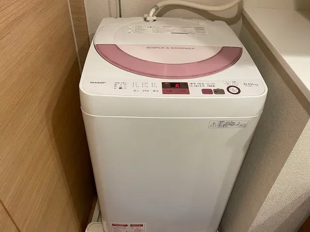 汚れと嫌な匂いを解決！洗濯機分解清掃サービスの画像