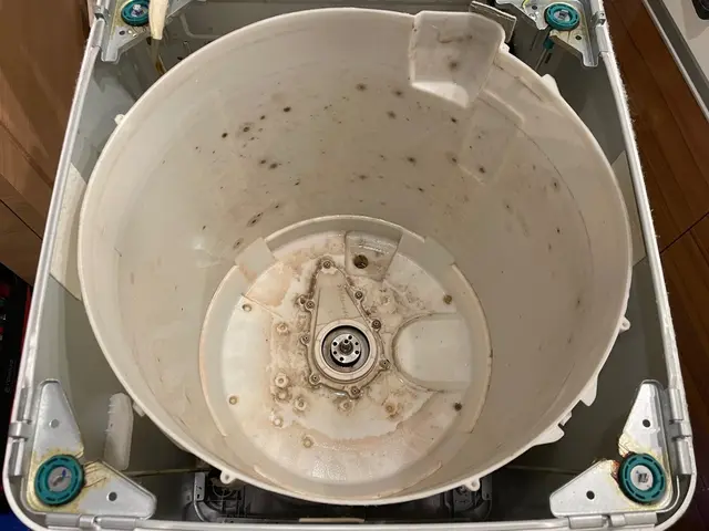 汚れと嫌な匂いを解決！洗濯機分解清掃サービスの画像