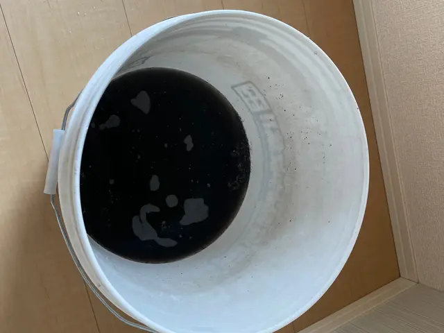 《損害保険加入済み》訪問時の駐車場代は当店負担！女性スタッフ同行OK！サービスの画像