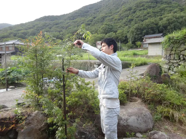 ★見積・相談無料の為、お電話下さい★　経験豊富！安心安全な作業をお約束します。サービスの画像