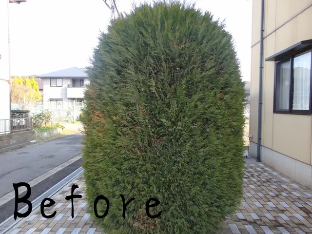 ★見積・相談無料の為、お電話下さい★　経験豊富！安心安全な作業をお約束します。サービスの画像