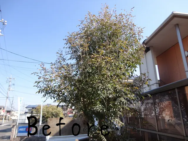 ★見積・相談無料の為、お電話下さい★　経験豊富！安心安全な作業をお約束します。サービスの画像